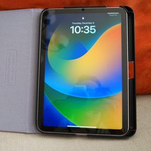 Apple iPad Mini 6th Gen 64GB Pink with finite case